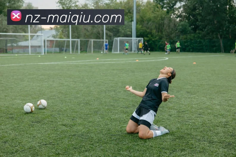 多媒体互动体验